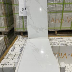 Porcelain Tile - 12 x 24 - Staturio Elegant - Polished Finish - Aria Vici